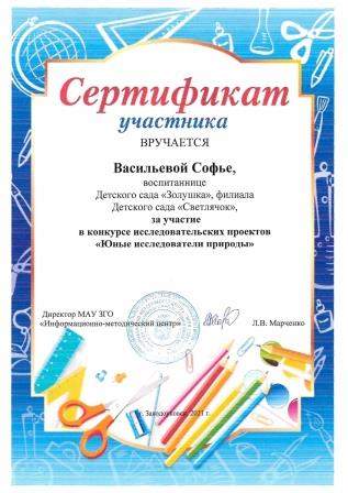 сертификат Васильева20210701150340_page-0001.jpg